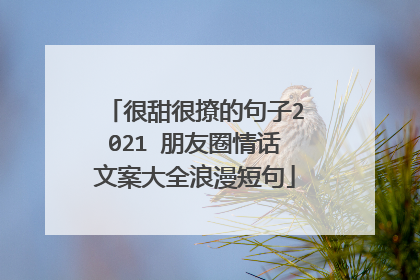 很甜很撩的句子2021 朋友圈情话文案大全浪漫短句