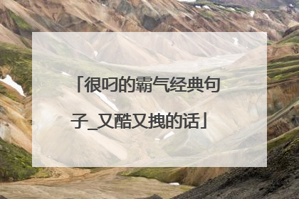 很叼的霸气经典句子_又酷又拽的话