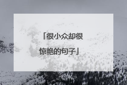 很小众却很惊艳的句子