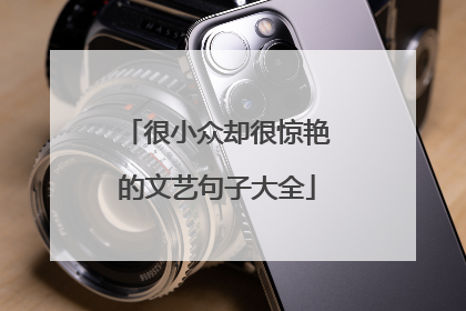 很小众却很惊艳的文艺句子大全