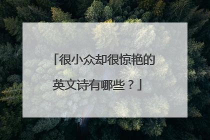 很小众却很惊艳的英文诗有哪些？