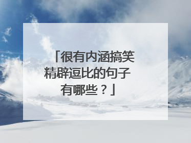 很有内涵搞笑精辟逗比的句子有哪些？