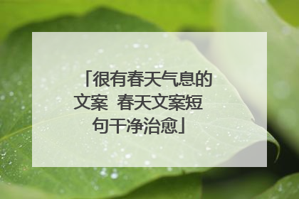 很有春天气息的文案 春天文案短句干净治愈