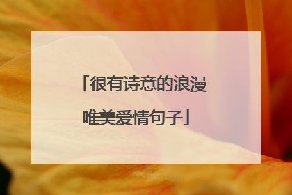 很有诗意的浪漫唯美爱情句子