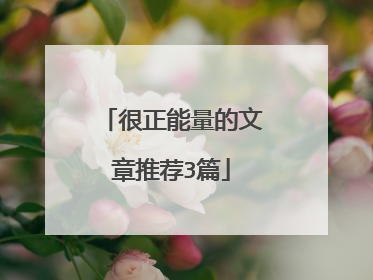 很正能量的文章推荐3篇