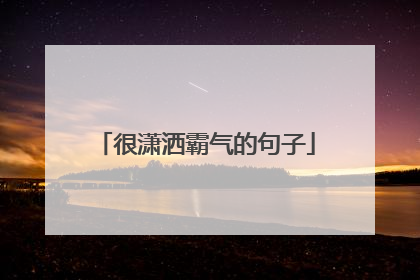 很潇洒霸气的句子