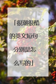 很潮很酷的英文短句 分别是怎么写的
