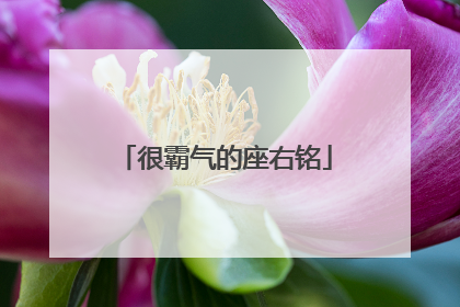 很霸气的座右铭