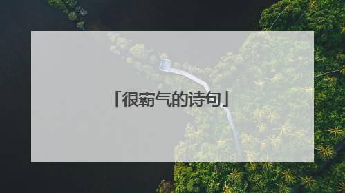 很霸气的诗句