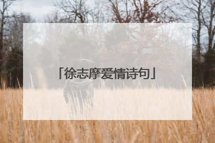 徐志摩爱情诗句