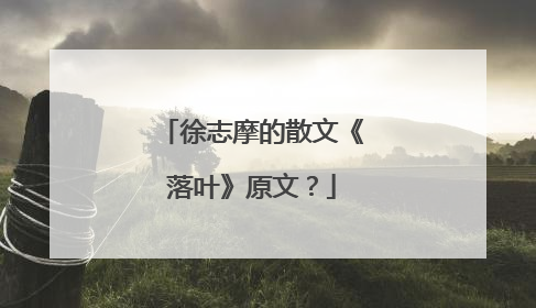 徐志摩的散文《落叶》原文？