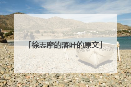 徐志摩的落叶的原文