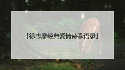 徐志摩经典爱情诗歌语录