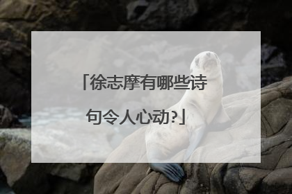 徐志摩有哪些诗句令人心动?