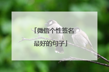 微信个性签名最好的句子