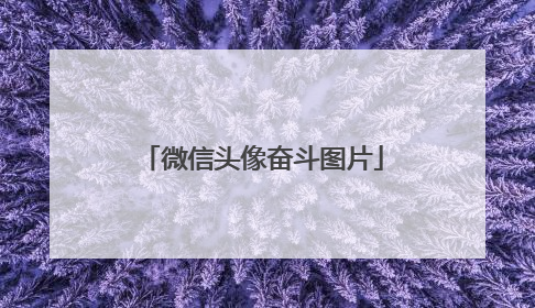 微信头像奋斗图片