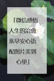 微信感悟人生的治愈系早安心语配图片美到心里