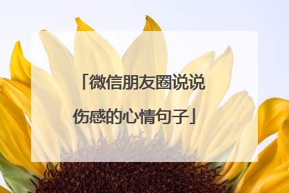 微信朋友圈说说伤感的心情句子