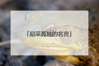 尼采孤独的名言
