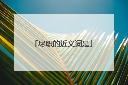 尽职的近义词是