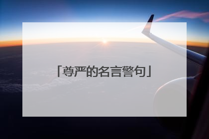 尊严的名言警句