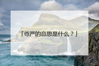 尊严的意思是什么?