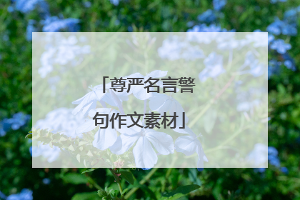 尊严名言警句作文素材