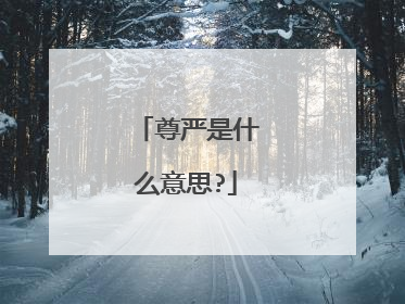 尊严是什么意思?