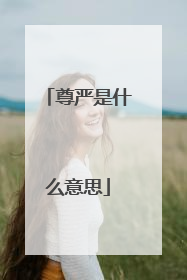 尊严是什么意思
