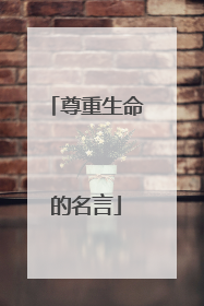 尊重生命的名言
