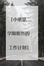 小班第二学期班务的工作计划