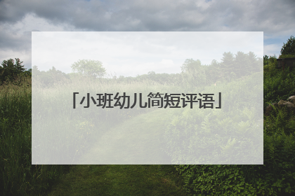小班幼儿简短评语