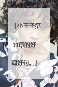 小王子第11章的好词好句。