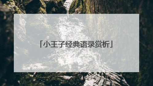 小王子经典语录赏析