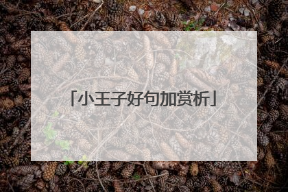 小王子好句加赏析