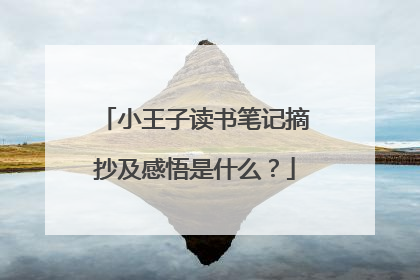 小王子读书笔记摘抄及感悟是什么？