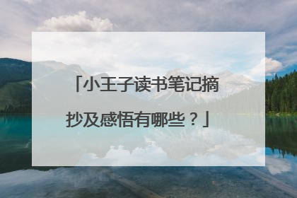小王子读书笔记摘抄及感悟有哪些？