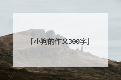 小狗的作文300字