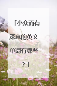 小众而有深意的英文单词有哪些?