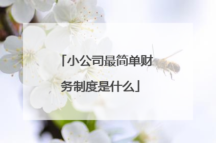 小公司最简单财务制度是什么