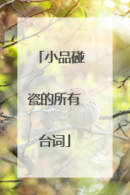小品碰瓷的所有台词