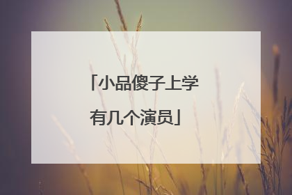 小品傻子上学有几个演员