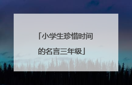 小学生珍惜时间的名言三年级