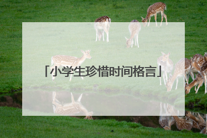 小学生珍惜时间格言