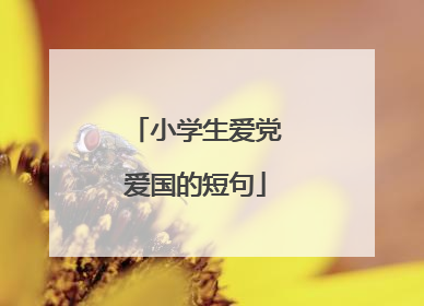 小学生爱党爱国的短句