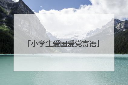 小学生爱国爱党寄语