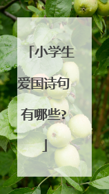 小学生爱国诗句有哪些?