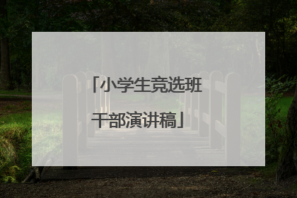 小学生竞选班干部演讲稿