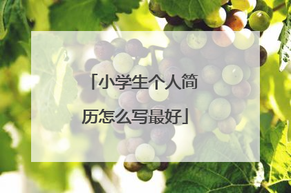 小学生个人简历怎么写最好