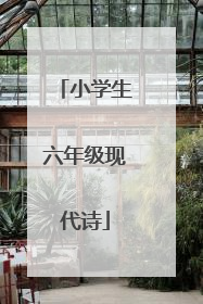 小学生六年级现代诗